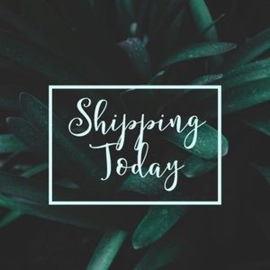 🚨‼️Shipping today! Get your orders in! ☀️